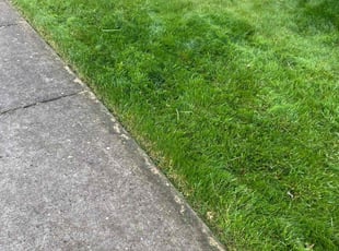 Rachel S.'s lawn maintenance service result