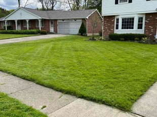 Carl L.'s grass cutting service result