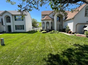 Aaron N.'s lawn care services service result