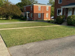 Angela C.'s lawn care service result