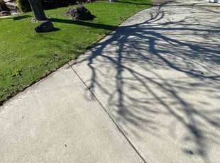 Oliver M.'s lawn service service result