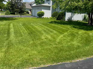 Sherry H.'s lawn care services service result