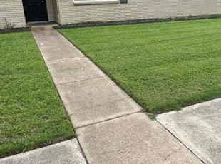Gabriel B.'s turf maintenance service result