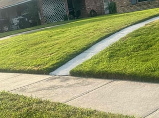 Evelyn K.'s lawn care service result