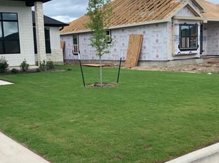 Jessica R.'s lawn service service result