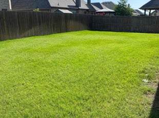 Annie W.'s grass maintenance service result