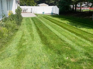Jeryth P.'s turf maintenance service result