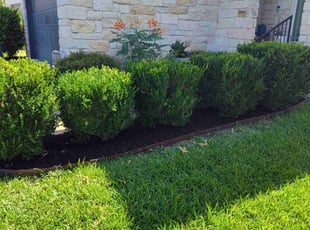 Randy G.'s Mulching service result