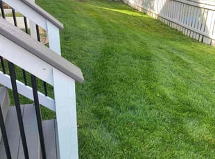 Brea S.'s lawn care services service result