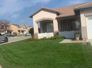 Eva C.'s grass cutting service result