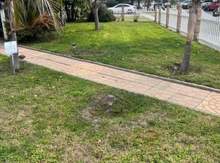 Ed T.'s turf care service result