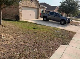 Richard C.'s lawn care services service result