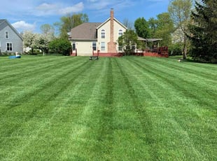 Farheen R.'s lawn care service result