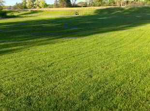 Vickie B.'s lawn service service result