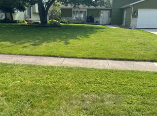 Jimmy A.'s lawn service service result