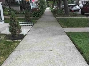 Lular M.'s lawn maintenance service result