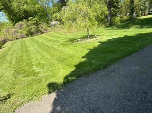 Mark G.'s grass maintenance service result