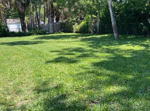 Renee J.'s lawn care service result