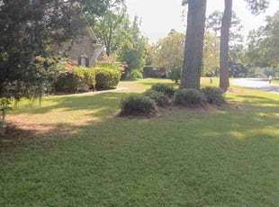 Tanya O.'s grass maintenance service result