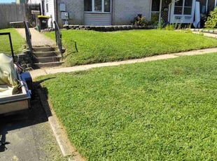 Jill Y.'s turf care service result