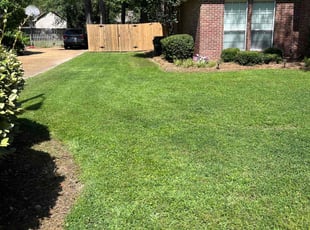 Kathleen W.'s grass maintenance service result