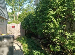 Brian R.'s Bush Trimming service result