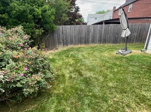 Lewis R.'s lawn care service result