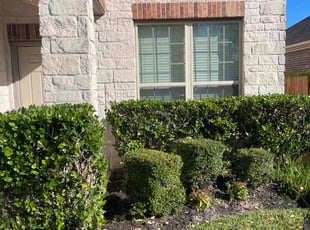 Leslie D.'s Bush Trimming service result