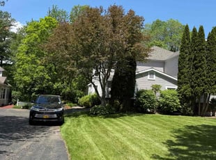 Denine C.'s lawn service service result