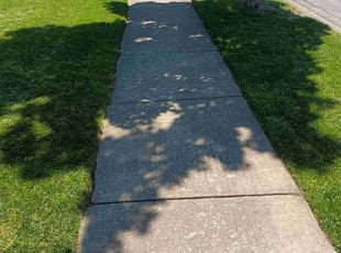 Sharon S.'s turf maintenance service result