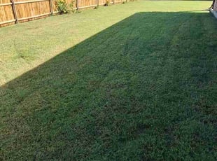 Joel Kevin T.'s lawn care service result