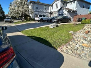 Esther T.'s Bush Trimming service result