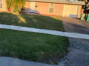 Robert S.'s lawn service service result