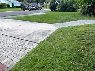 Brianna K.'s lawn maintenance service result
