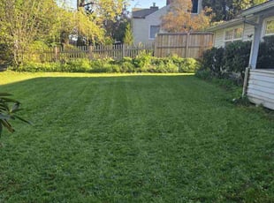 Leann V.'s lawn service service result