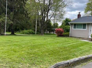 Alexandra T.'s turf care service result