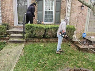 Tiffany M.'s Bush Trimming service result