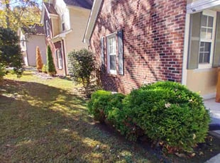 Matt E.'s Bush Trimming service result