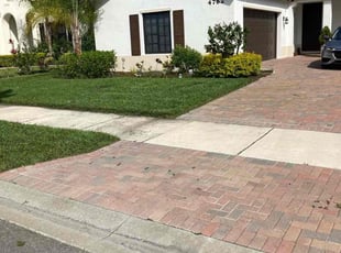 Mauricio A.'s lawn care service result