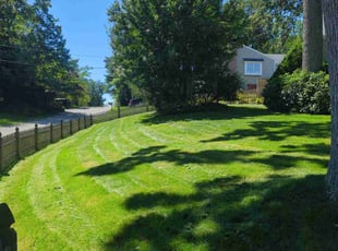 Jen C.'s lawn service service result