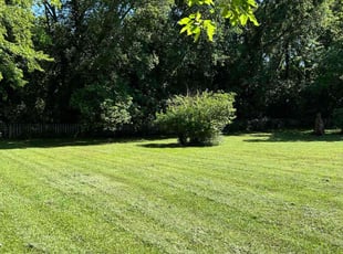 Jenee S.'s lawn care service result