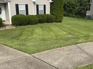 Regina J.'s lawn care services service result