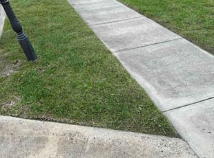 Susan W.'s lawn care services service result