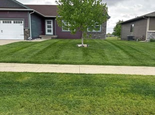 James S.'s grass maintenance service result
