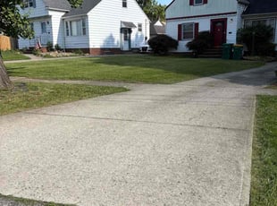 Nadira E.'s turf care service result