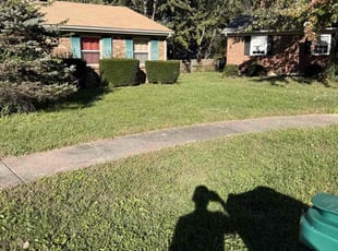 Stephan M.'s lawn maintenance service result