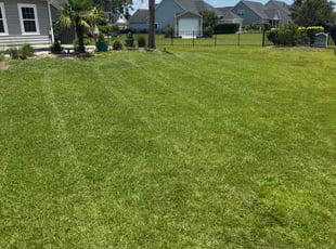Jessica C.'s turf maintenance service result