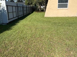 Joseph C.'s lawn care service result