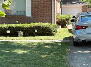 Kelly B.'s turf care service result