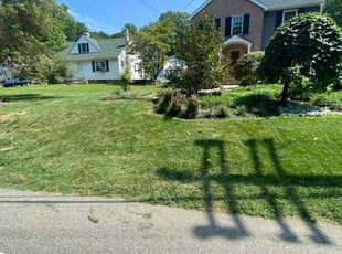 Billy P.'s turf care service result